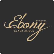 OurStory_2017_2019_Logo_Ebony