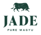 OurStory_2021_Logo_JadePure